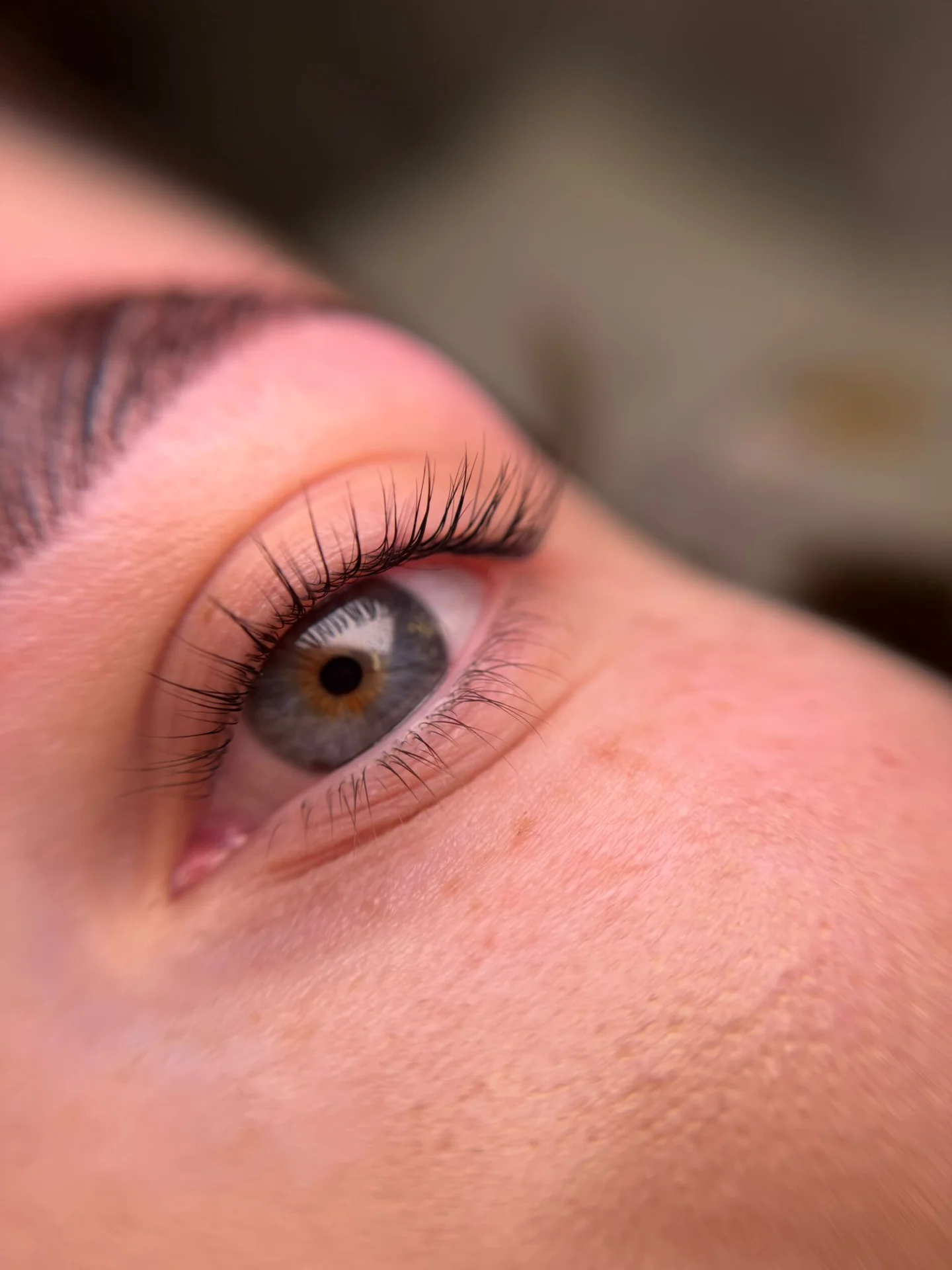 Gallery 2 Brows
